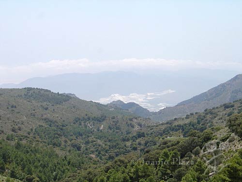 DSC02455