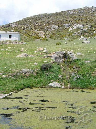 DSC02465