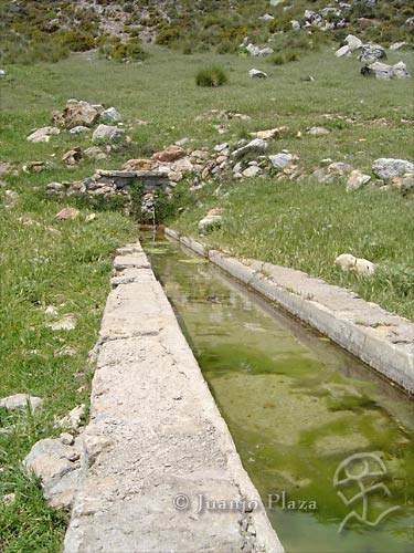 DSC02466