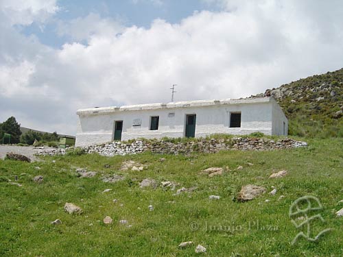 DSC02475