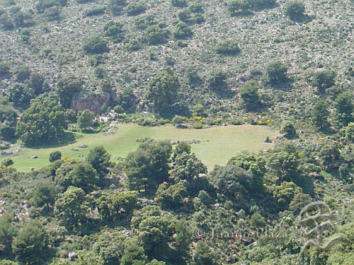 DSC02478
