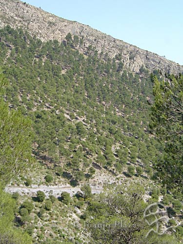 DSC02484