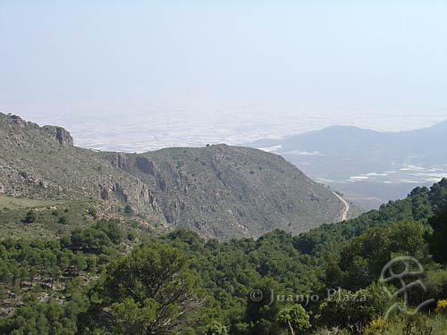 DSC02486