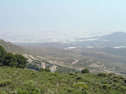 DSC02494
