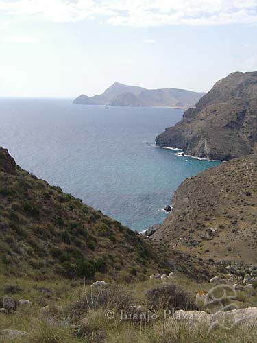 DSC03650