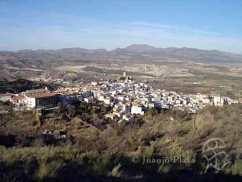 DSC04161_seron