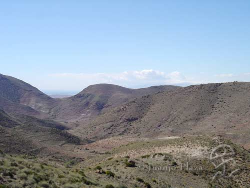 DSC04695