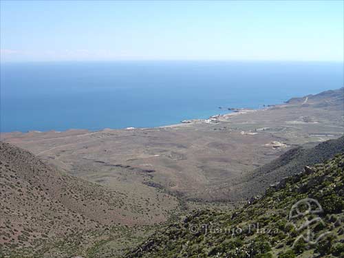DSC04699