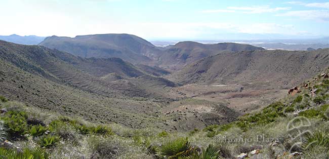 DSC04780